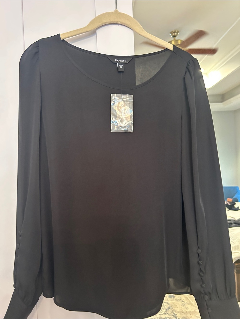 Express Black Sheer Long-Sleeve Blouse